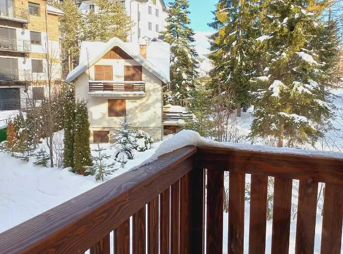 Borova Iglica 18 * Zlatibor